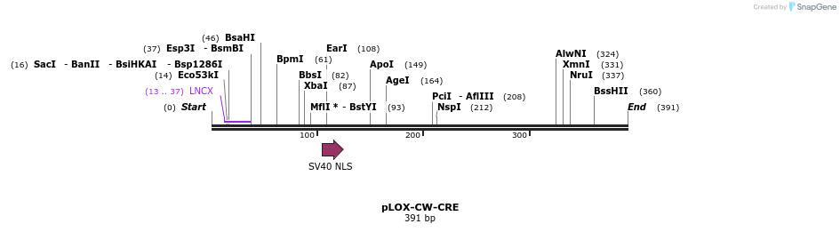 101341_map
