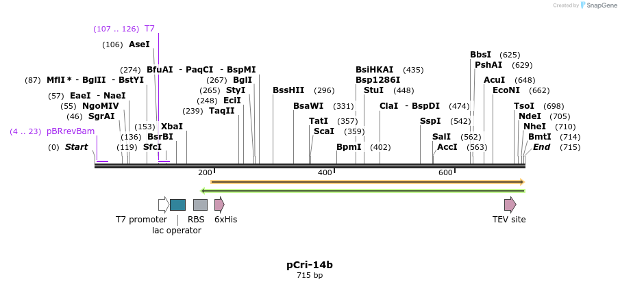 101347_map