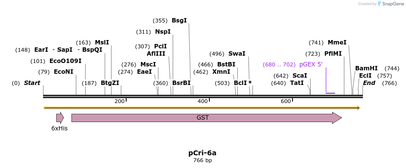 101351_map
