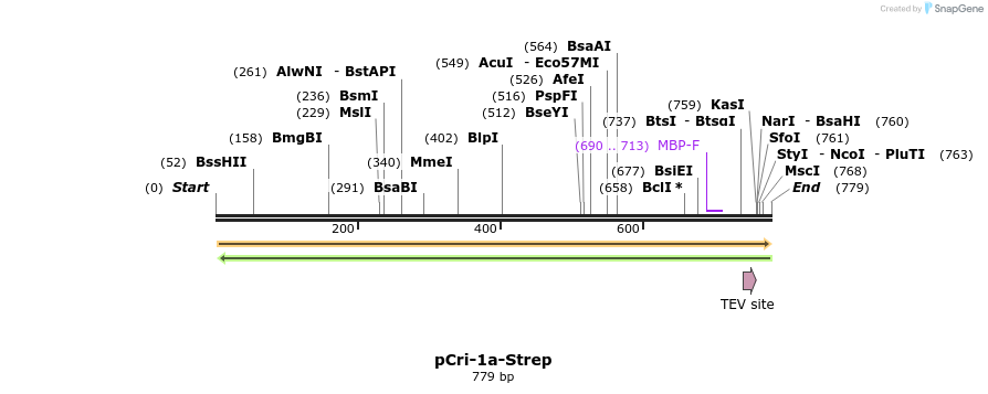 101354_map