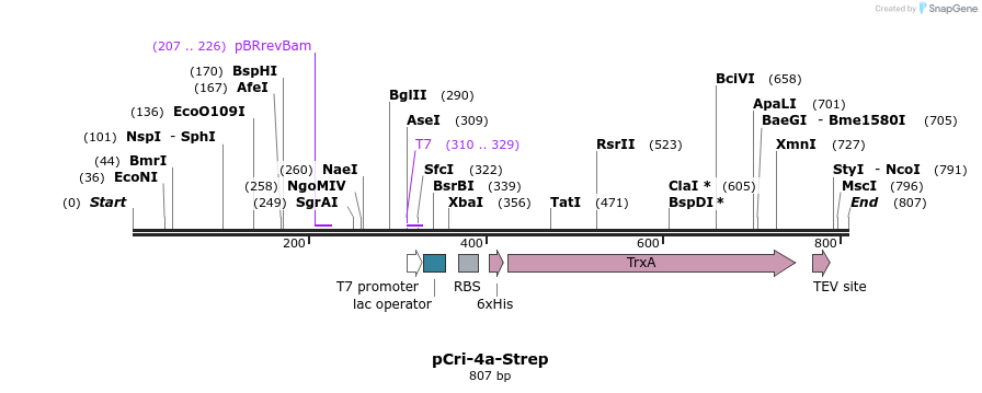 101355_map