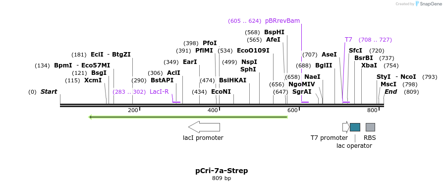 101356_map