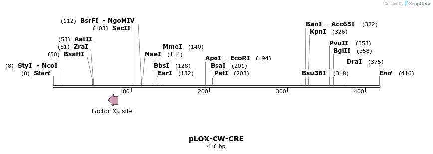 101357_map