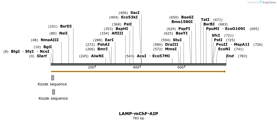 101362_map