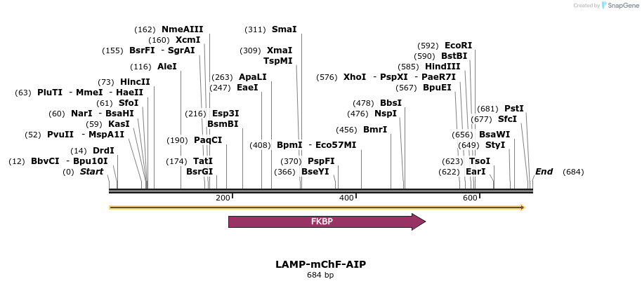 101363_map