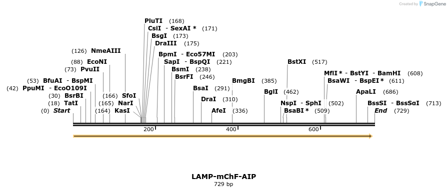 101365_map