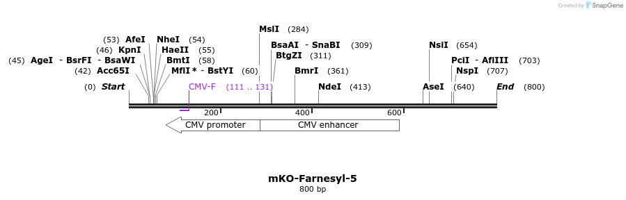 101366_map