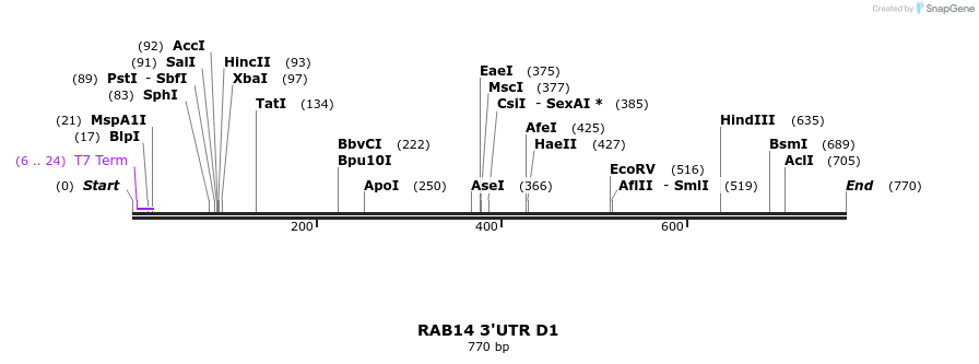 101369_map