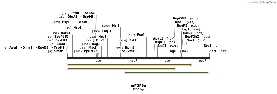 10140_map