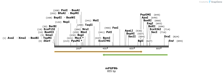 10141_map