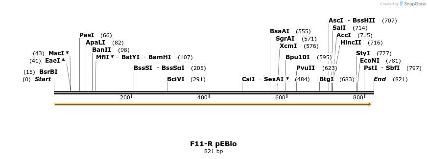 101473_map
