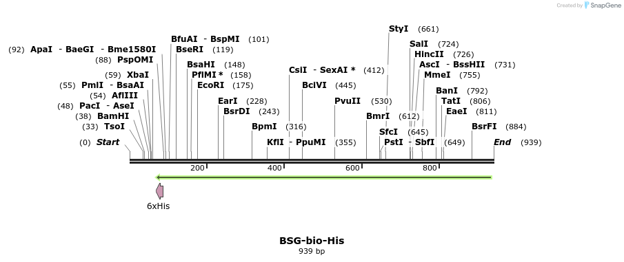 101476_map