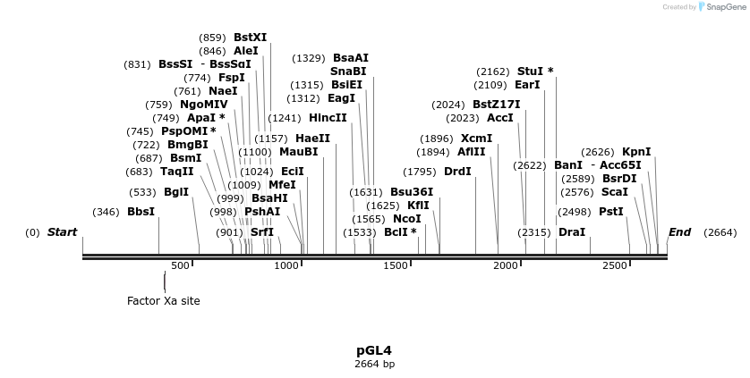 101480_map