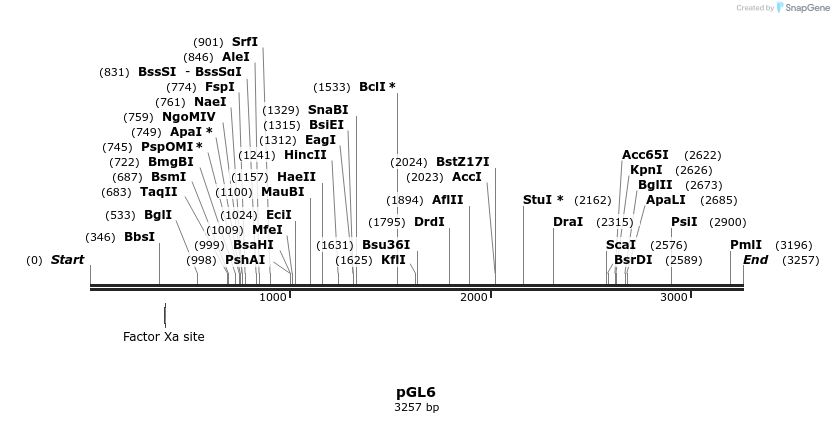 101482_map