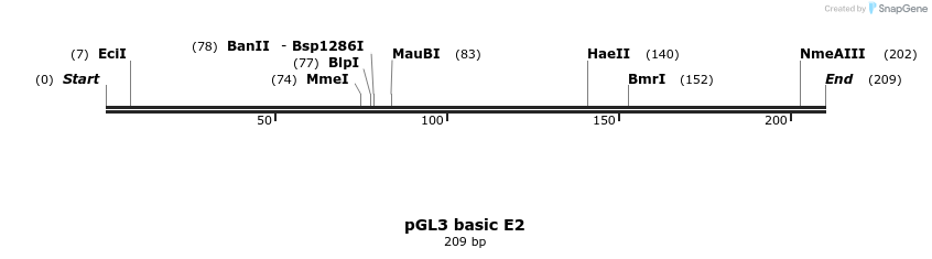 101483_map