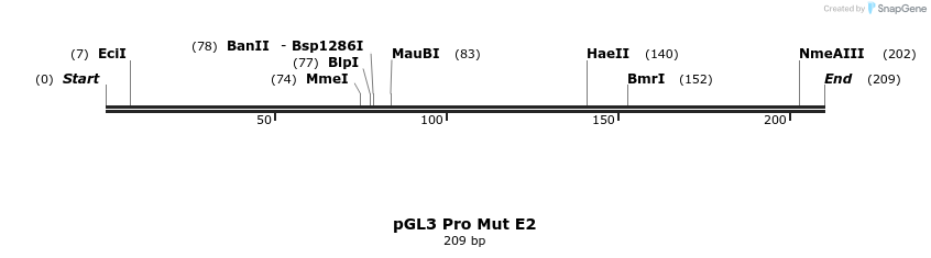 101486_map