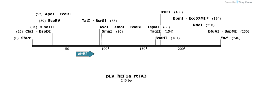 101489_map