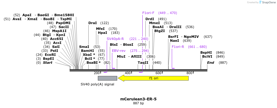 101492_map