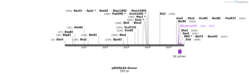 101495_map