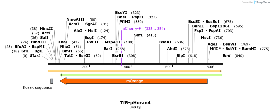 101502_map