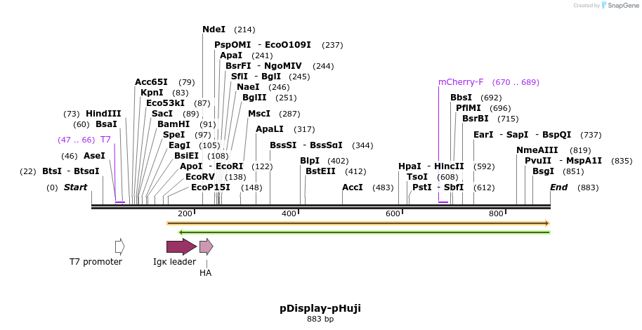 101505_map