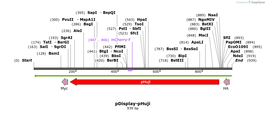 101508_map