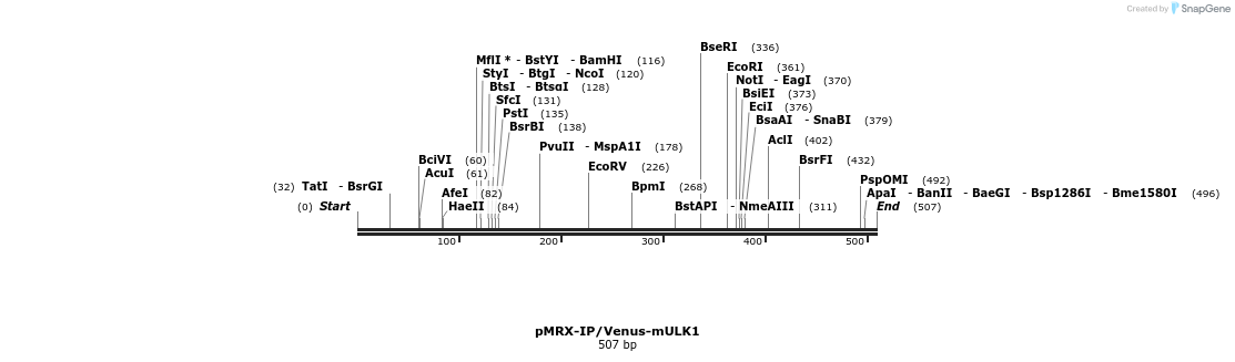 101511_map