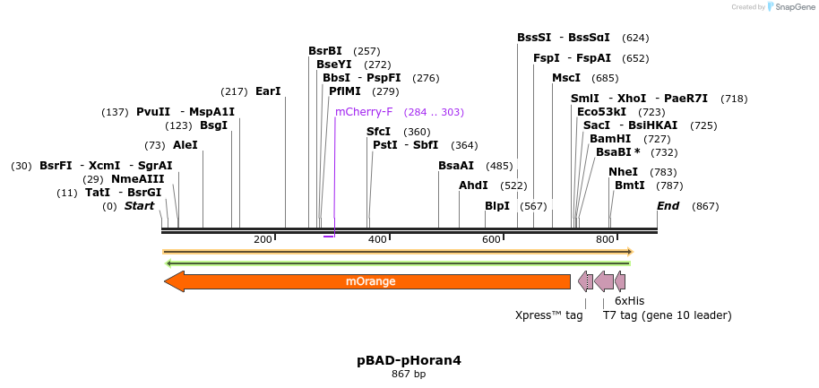 101512_map