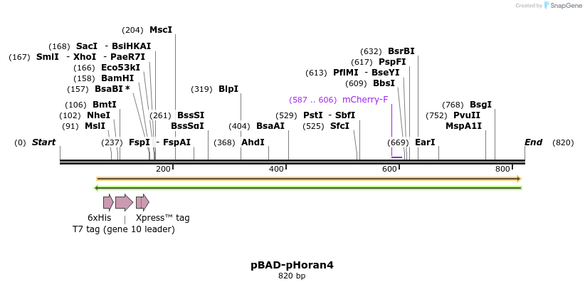 101514_map