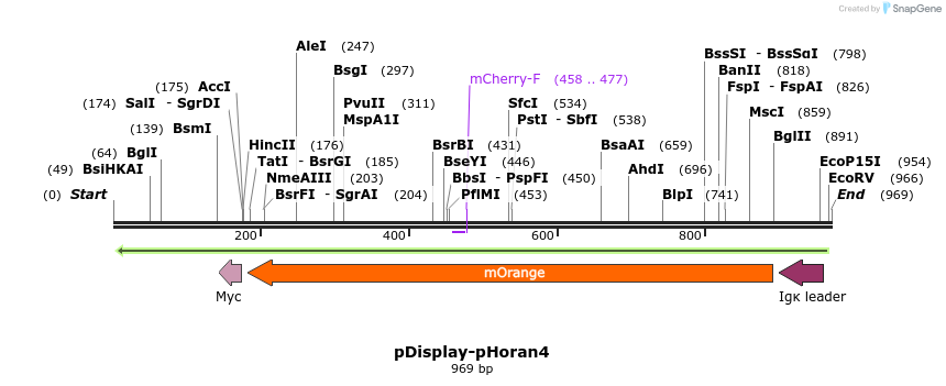 101520_map