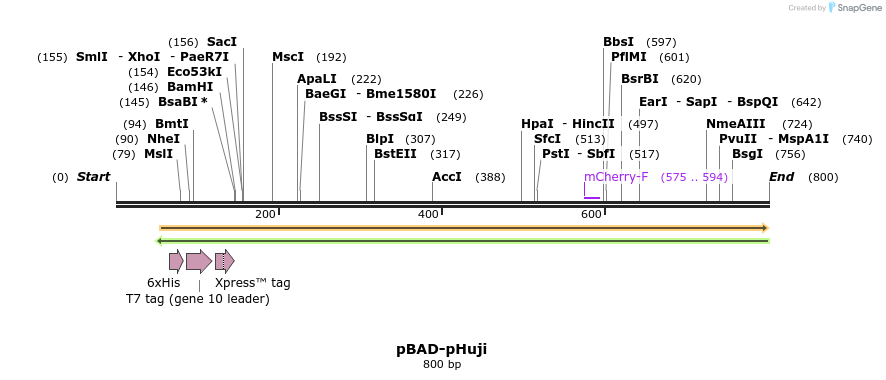 101524_map
