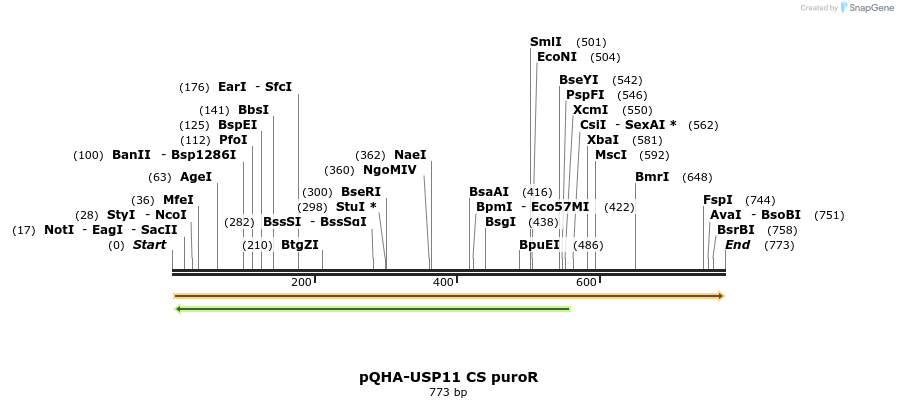 101525_map
