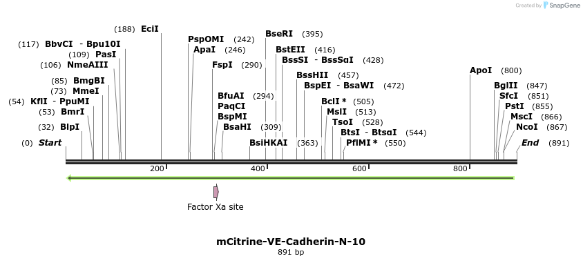 101526_map