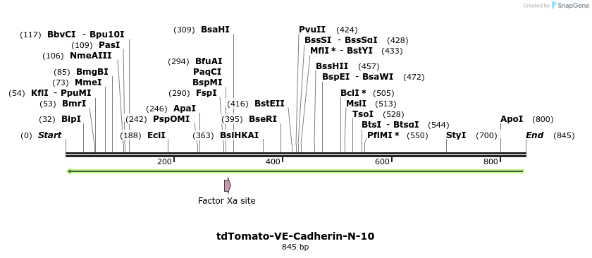 101528_map