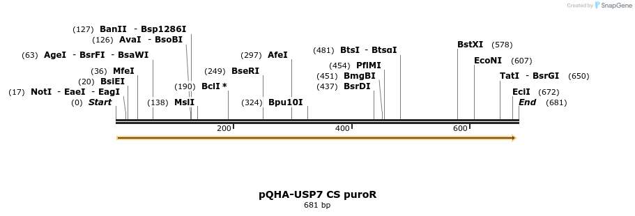101530_map