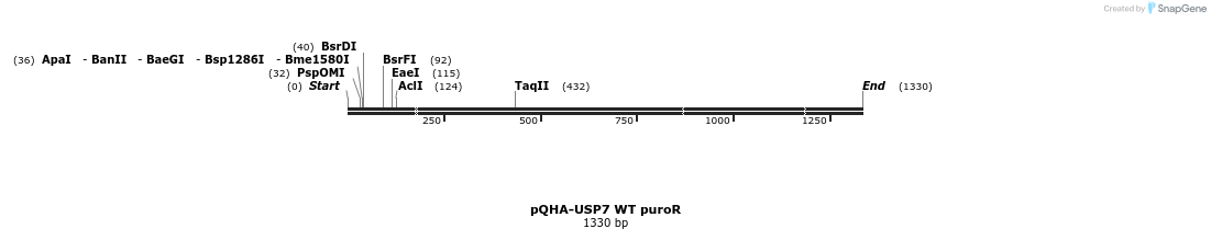 101534_map