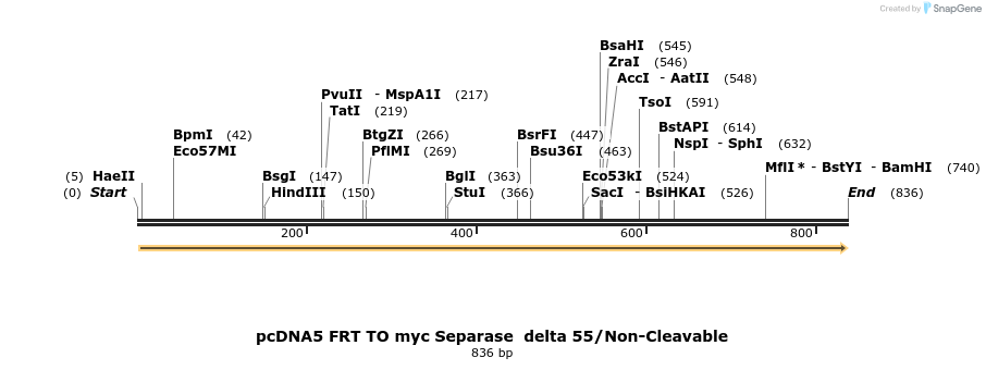 101541_map