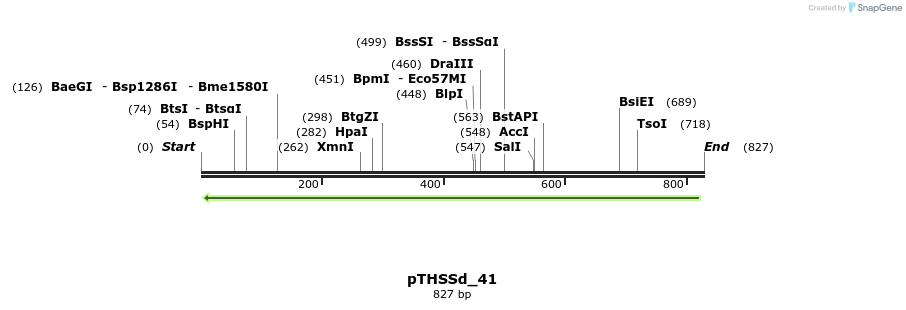 101547_map