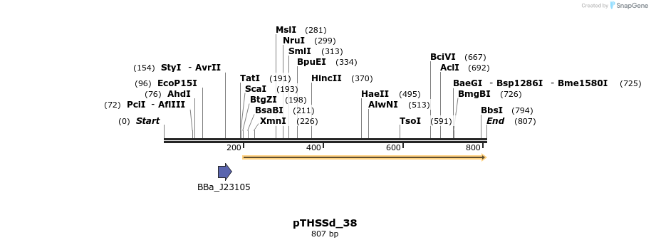 101548_map