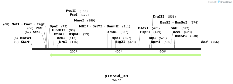 101551_map