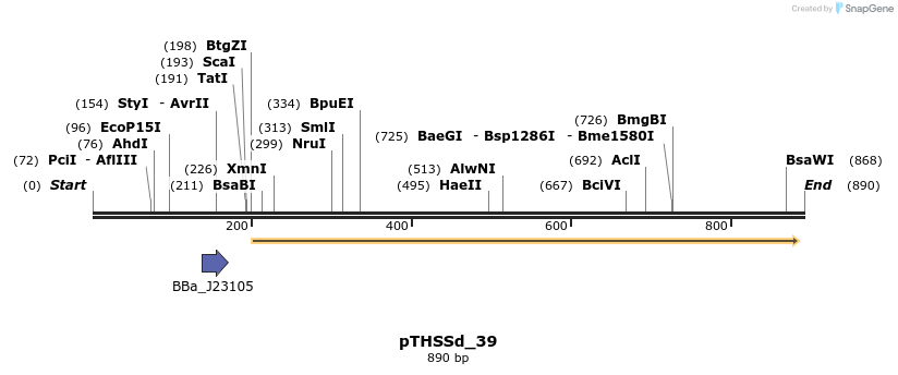 101552_map