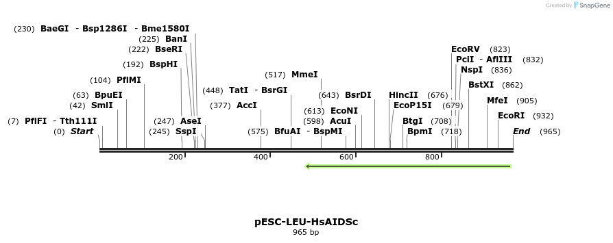 101553_map