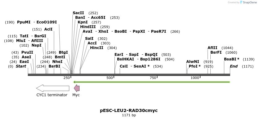101556_map