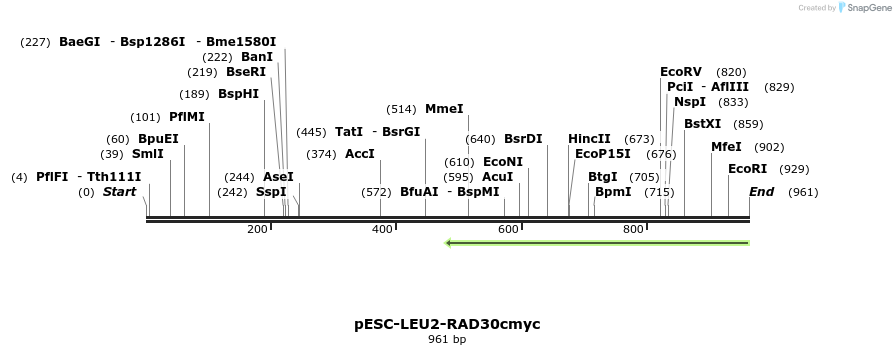 101558_map