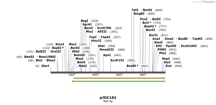 101562_map