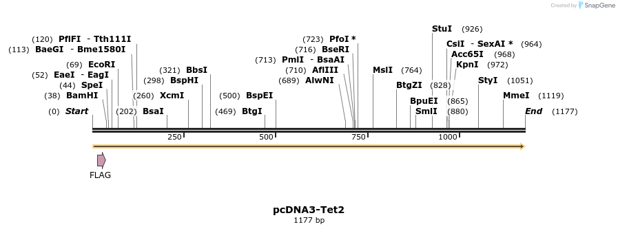 101572_map