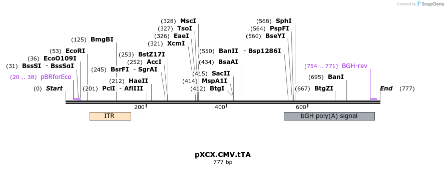 101575_map