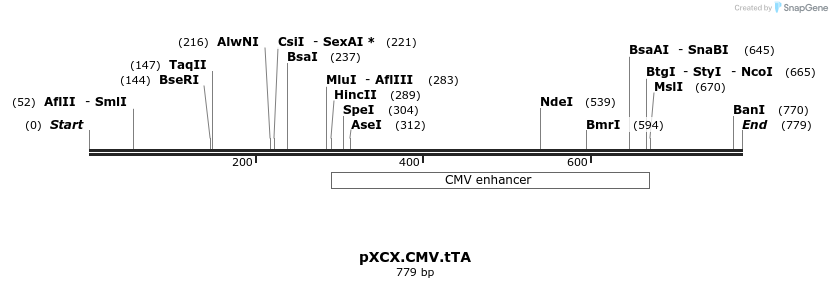 101576_map