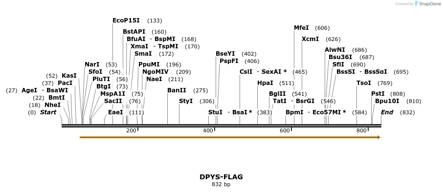 101580_map
