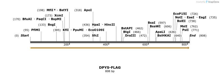 101581_map
